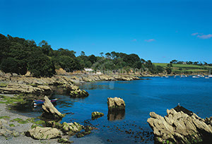%_tempFileNameM3164ELHELFORD%