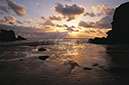 %_tempFileNameS1719BLSEPIASUNSET%