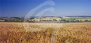 %_tempFileName4316aaLTarrantValley%