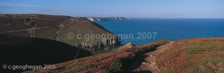 Chapel Heather, Chapel Porth