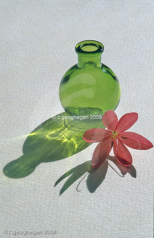 Still Life with green bottle